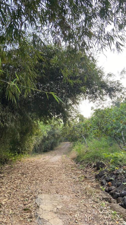 Lermitage Farms Kashid Alibaug Villa Eksteriør billede